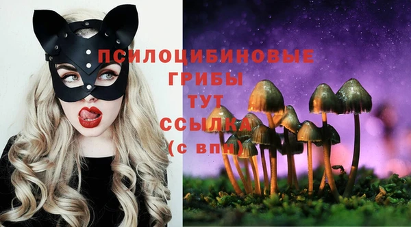mdma Арсеньев