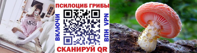 MEGA зеркало  где можно купить   Бабушкин  Галлюциногенные грибы мухоморы 